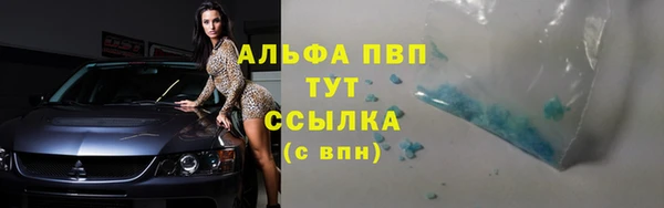 ешки Билибино
