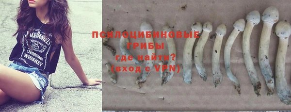 дурь Костерёво