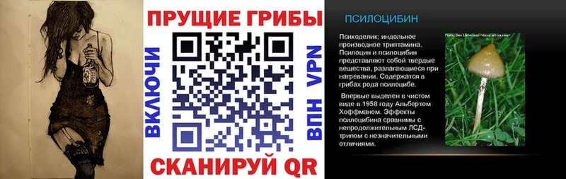 где продают   Краснозаводск  Псилоцибиновые грибы прущие грибы 