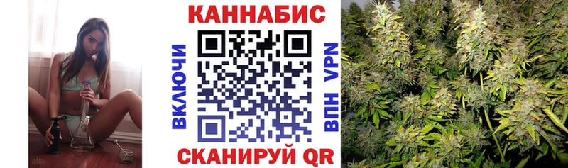 Каннабис конопля  Краснозаводск 